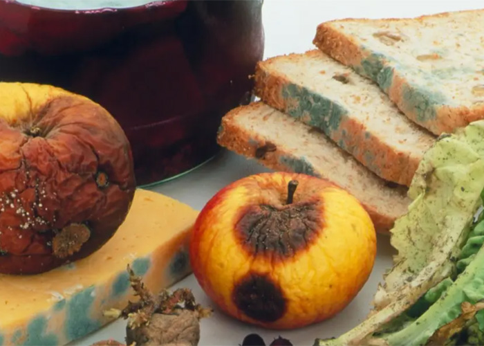 上海清關(guān)速食飯報廢處理企業(yè)2022已更新(今日/資訊)