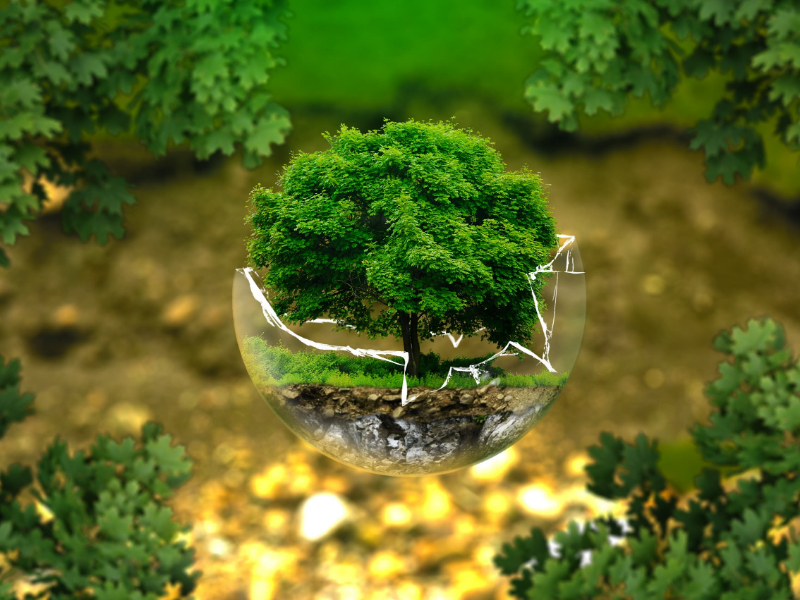 臨期的奶粉可以喝嗎？|過期奶粉銷毀